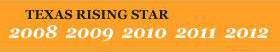 Logo Recognizing The Posey Law Firm, P.C.'s affiliation with Texas Rising Star
